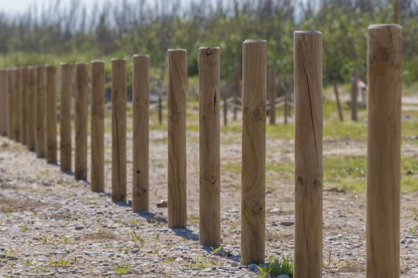 Wood Pole Placement