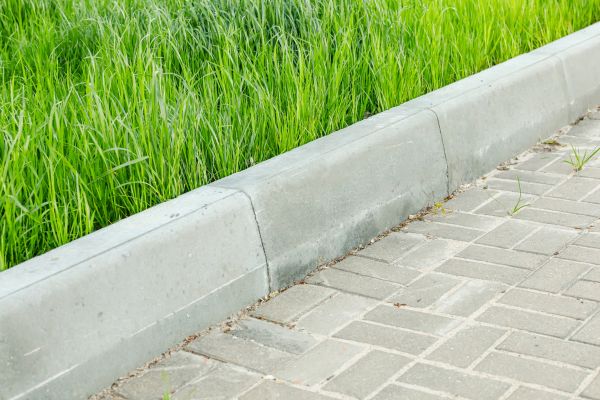 Border Removal