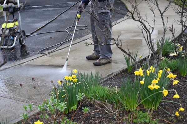 Paver Pathway Cleaning