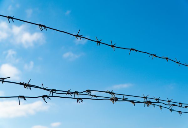 Wire Fencing Service