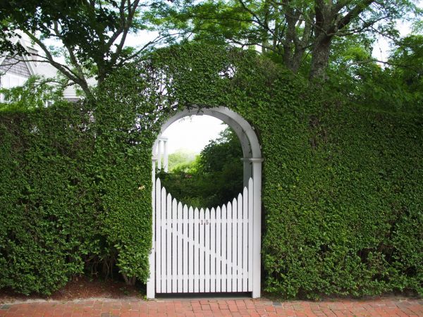 Arbor Assembly