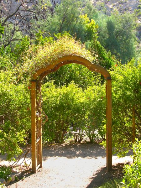 Timber Arbor Construction