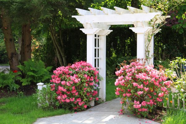 Garden Arbor Construction
