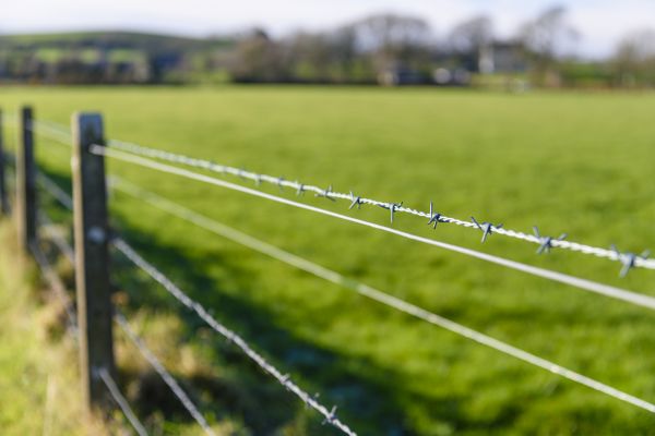 Horse Fence Wire Installation