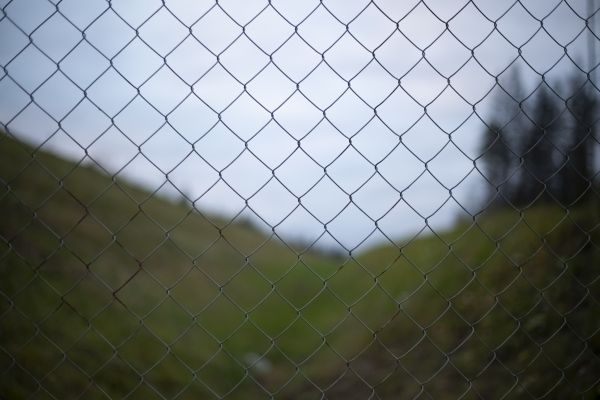 Fence Wire Replacement