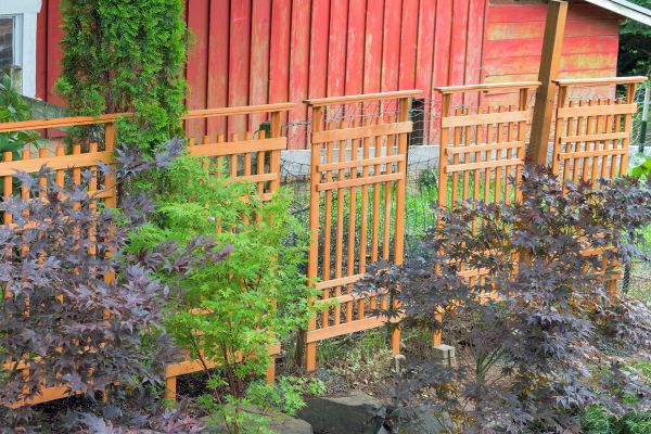 Lattice Trellis Repair