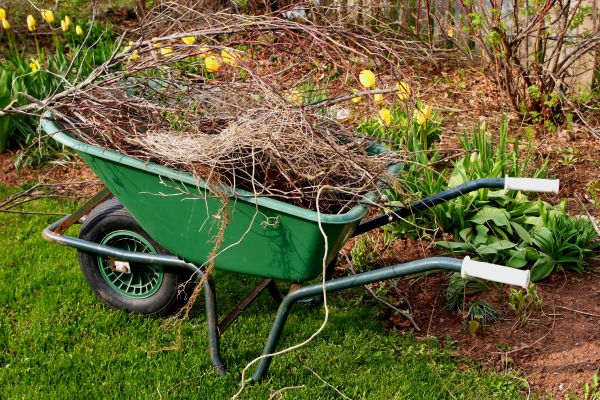 Brush Disposal