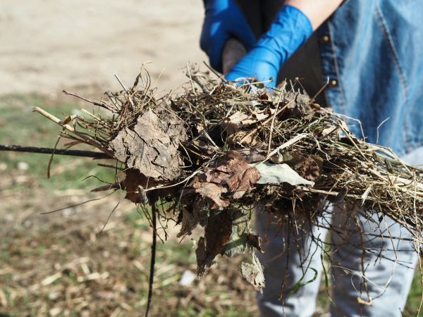 Brush Cleanup Service