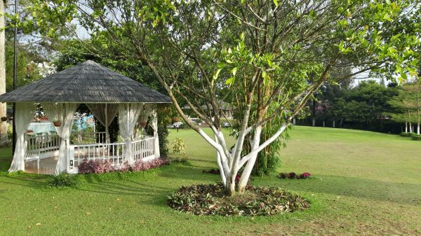 Backyard Gazebo Assembly