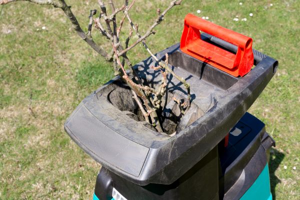 Backyard Brush Clearing