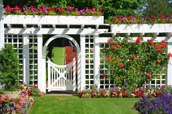 Backyard Trellis Assembly