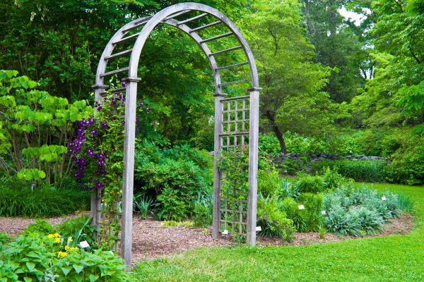 Arbor Assembly