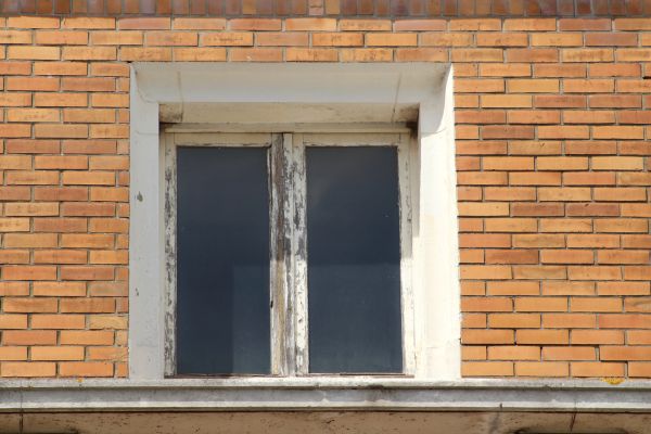 Rotted Window Repair