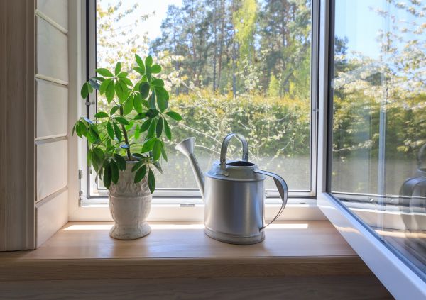 Bay Window Repair