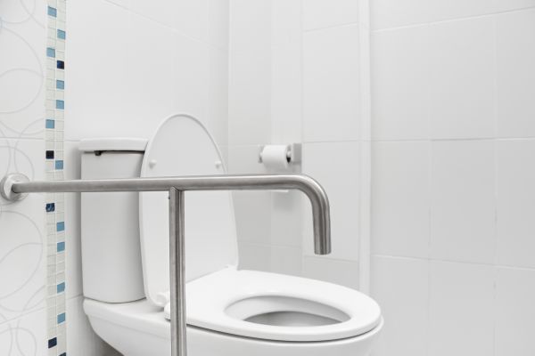 Elderly Grab Bar Installation