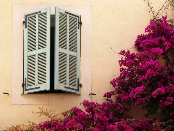 Exterior Shutters Repair