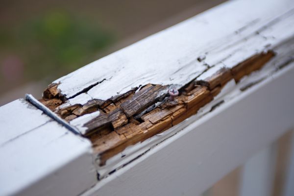 Decay Repair Service