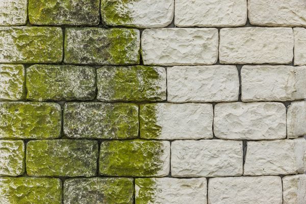 Brick Wall Cleaning