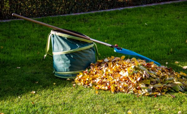 Bush Disposal