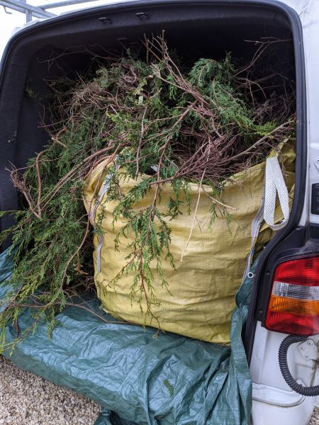 Backyard Shrubbery Removal