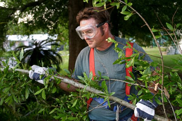 Branches Hauling